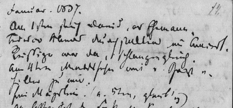 Abb. 2: Robert Schumanns Notiz zur Geburt seiner unehelichen Tochter, Anfang Januar 1837, unten: »Ein Mägdlein. (a. 5ten, glaub’ ich)«; © Zwickau, Robert-Schumann-Haus, 4871,VII,A,5–A3.