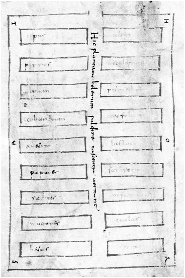 Abb. 4 und 5: St. Galler Klosterplan, Details: Obstbaumgarten (links) und Gemüsegarten (rechts), Stiftsbibliothek St. Gallen, Cod. Sang. 1092.