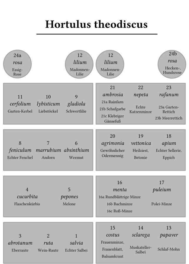 Abb. 8: Lageplan zum Hortulus theodiscus.