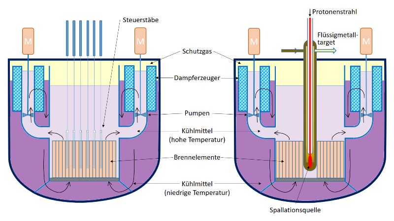 Abb. 5: Kritischer schwermetallgekühlter schneller Reaktor (links) und unterkritischer beschleunigergetriebener Reaktor (rechts). Quelle: Autor. 