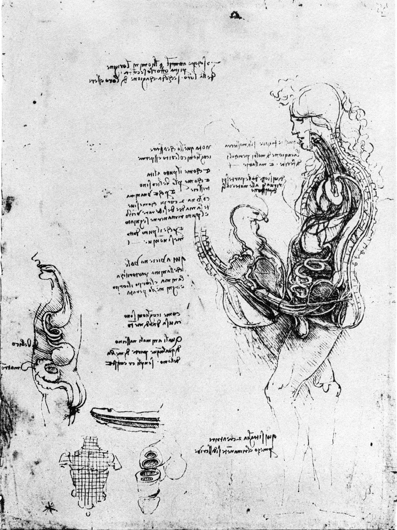 Abb. 1: Leonardo da Vinci, Der Geschlechtsakt im Vertikalschnitt, um 1489, Feder und braune Tusche, 276 × 204 cm, Windsor, Royal Library (RL 19097v) [aus Sigrid Esche, Leonardo da Vinci. Das anatomische Werk, Basel 1954, Abb. 19]