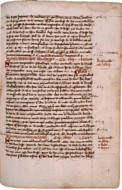 Abb. 8: Glossenhandschrift (sog. Codex Hecht)